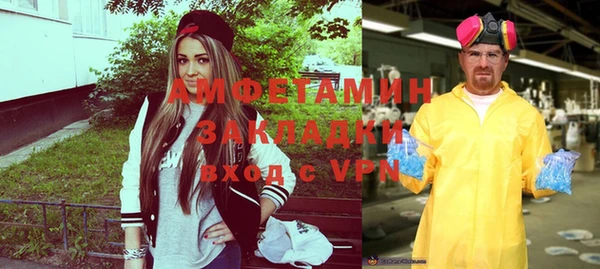 мет Алексин