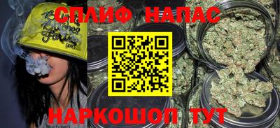 молекула духа Будённовск