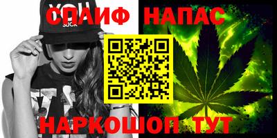 молекула духа Будённовск