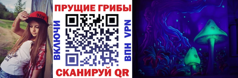 купить наркотик Жуковский Псилоцибиновые грибы Magic Shrooms
