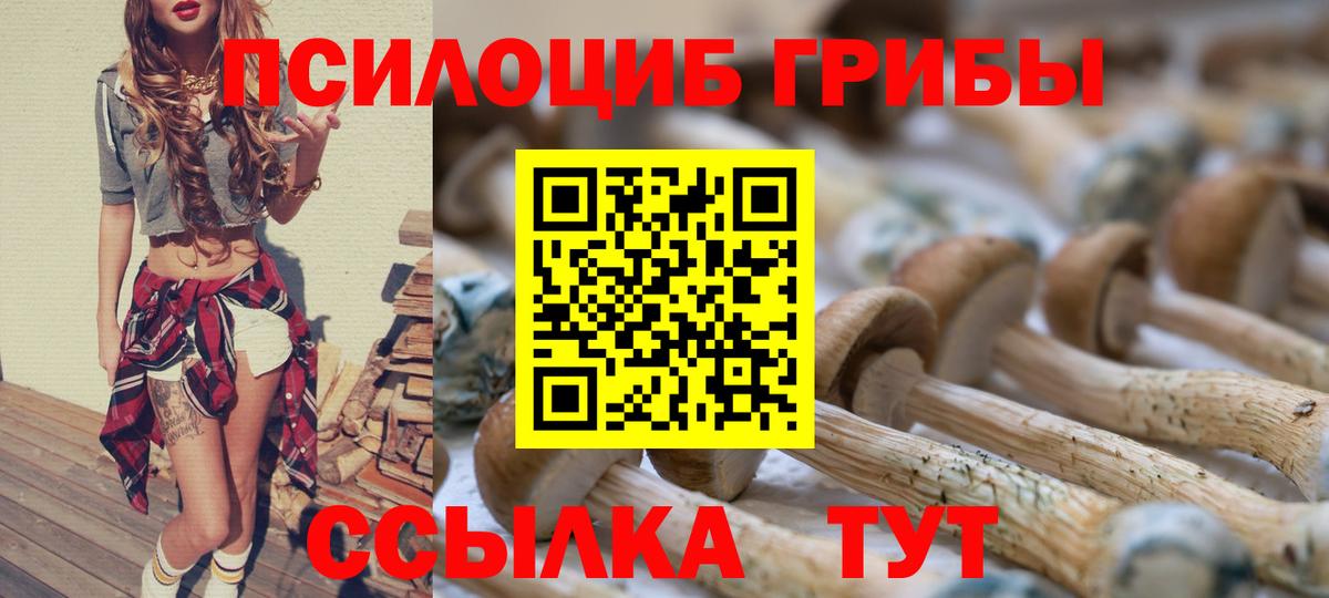 Жуковский  Галлюциногенные грибы Psilocybe  Вход с VPN 