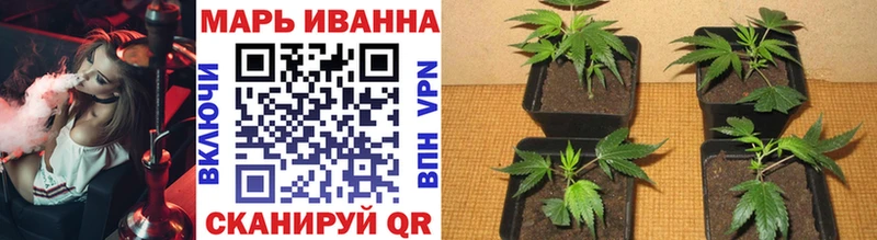 гидра онион  Жуковский  Канабис White Widow 